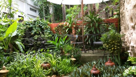 Patong House Garden
