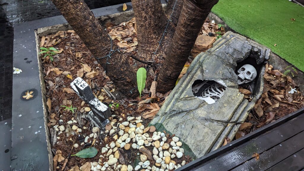 Exposed Coffin partly buried in the ground inside the Death Cafe